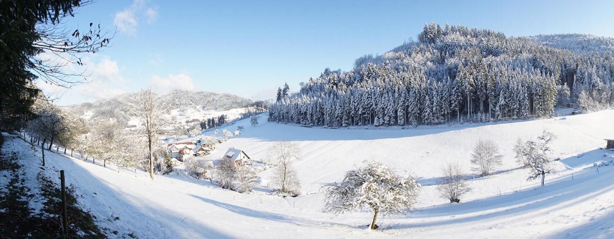 Muellerleile Hof Villa Haslach im Kinzigtal Luaran gambar