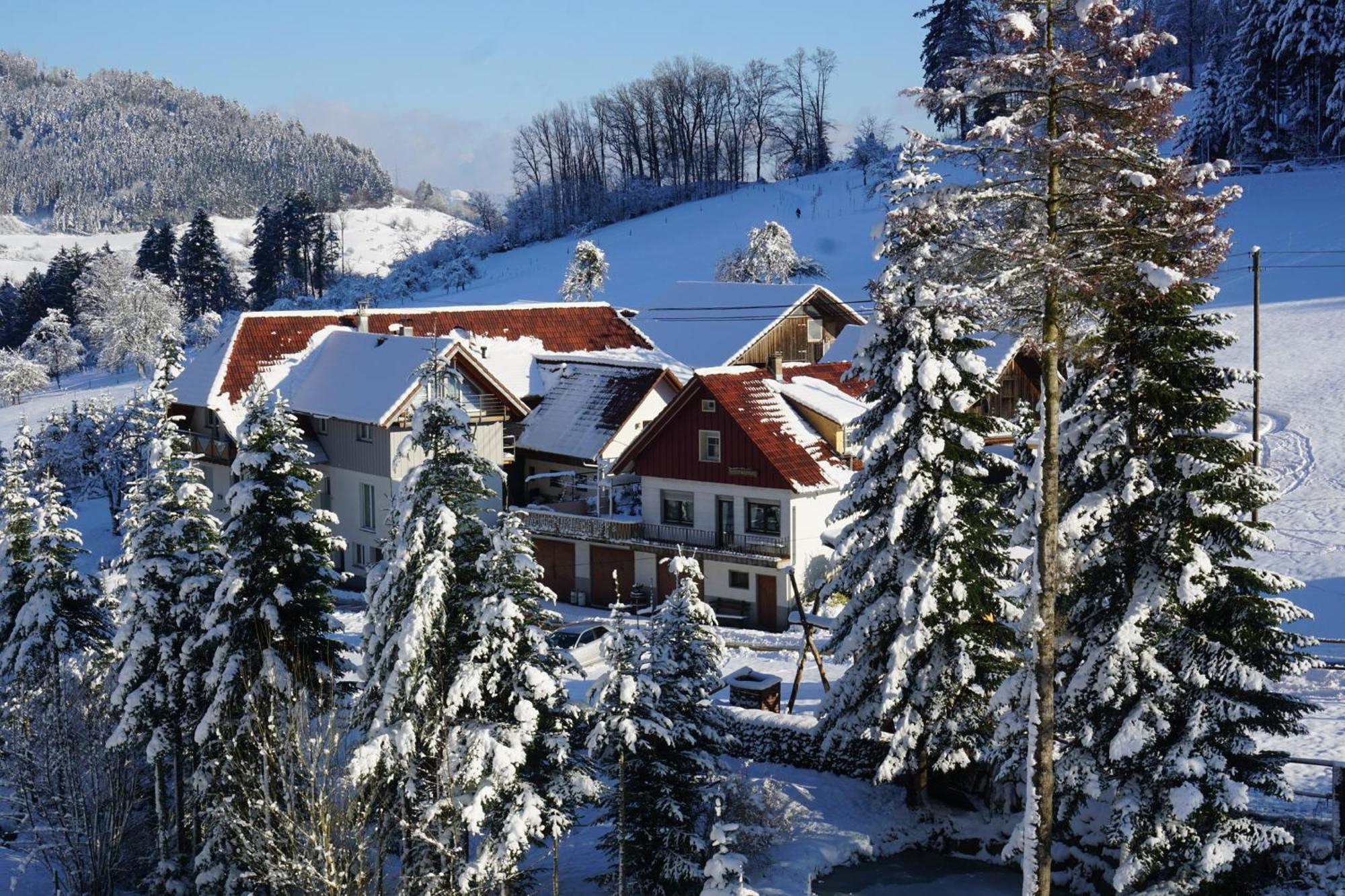 Muellerleile Hof Villa Haslach im Kinzigtal Luaran gambar